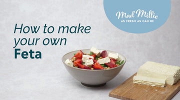 How to make your own Feta